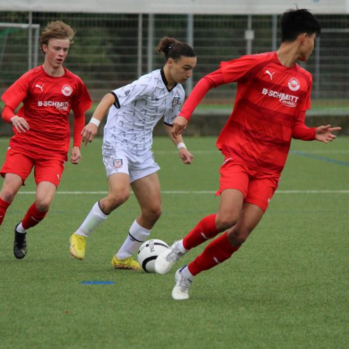 News 04.11.2022 - NLZ Vorschau 05.11.22 - 08.11.22