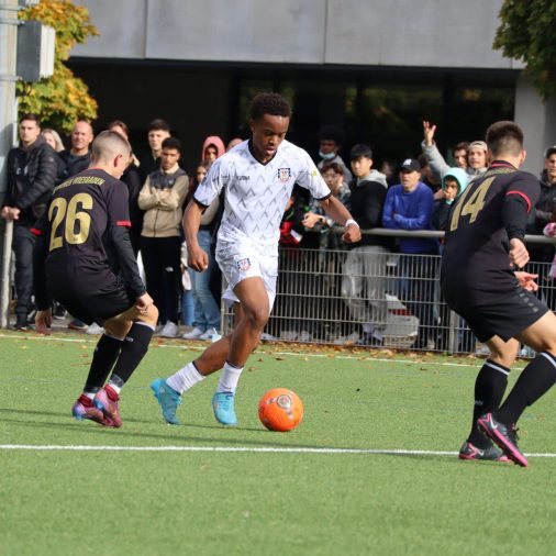 News 11.11.2022 - NLZ Vorschau 12.11.22 - 13.11.22