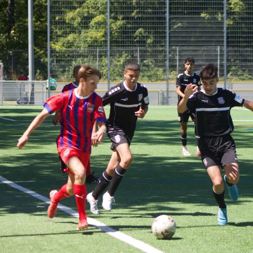 News 12.08.2022 - NLZ Vorschau 13.08.-14.08.2022