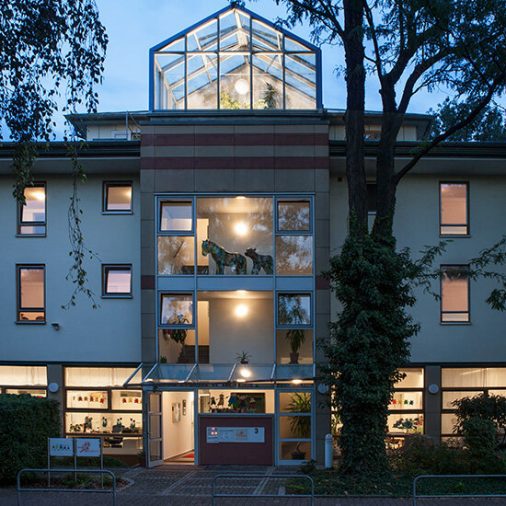 News 15.02.2019 - Bewusstsein schaffen und helfen