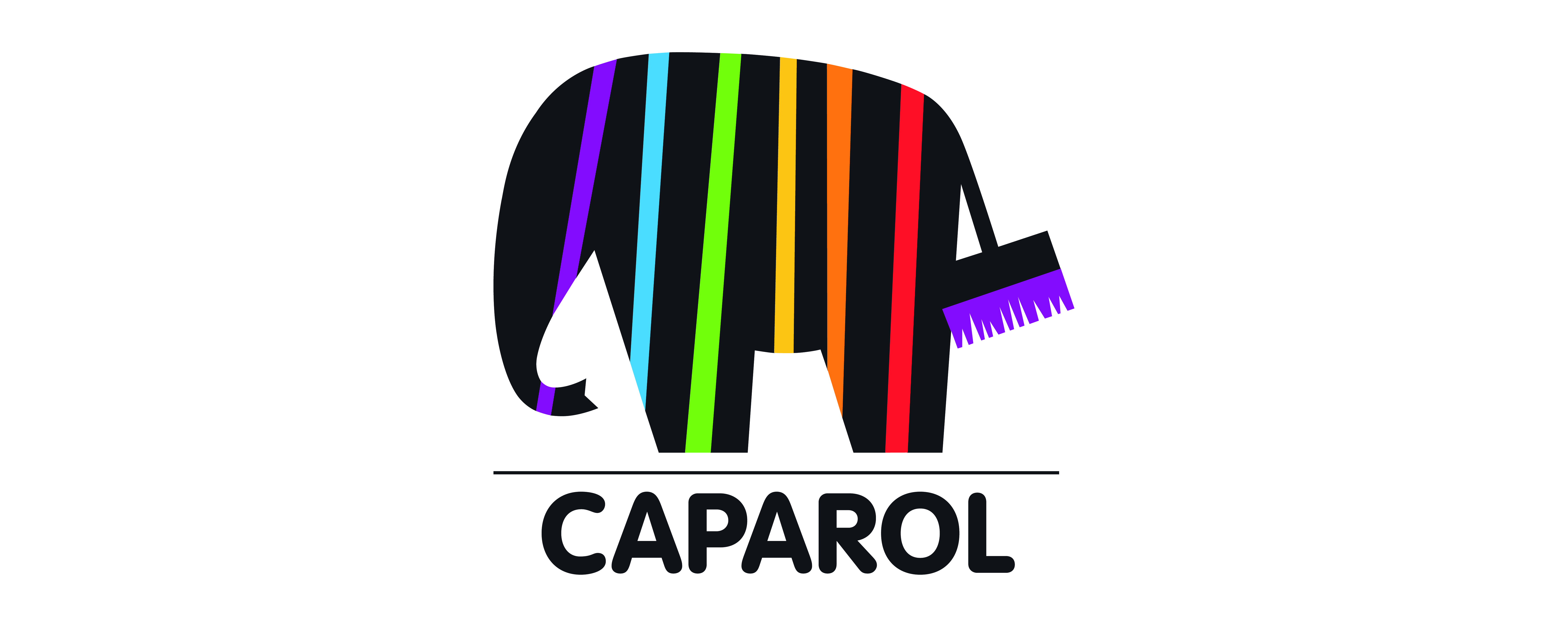 CAPAROL Farben Lacke Bautenschutz GmbH